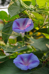 Similar image 21678616