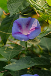 Similar image 21678617