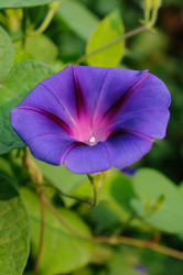 Similar image 21678618