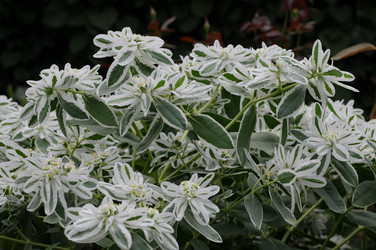 Similar image 21678619