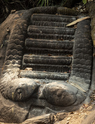 Similar image 21667518