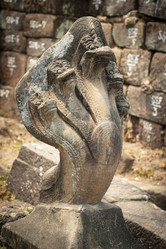 Similar image 21667519