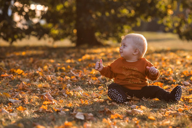 Similar image 21674329