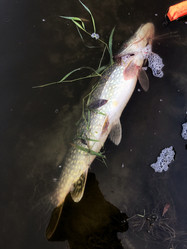 Similar image 21672690