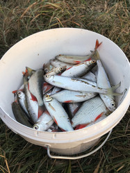 Similar image 21672692