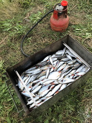 Similar image 21672715