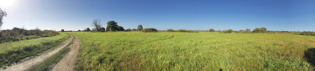 Similar image 21672737