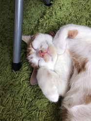 Similar image 21672751