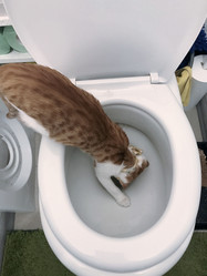 Similar image 21672752