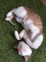 Similar image 21672753