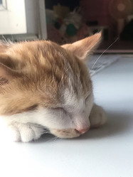 Similar image 21672754