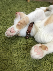 Similar image 21672755