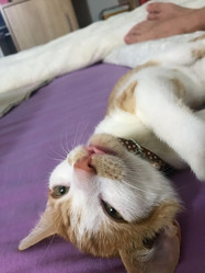 Similar image 21672756