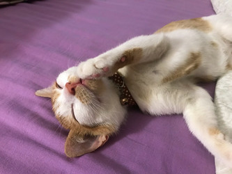 Similar image 21672757