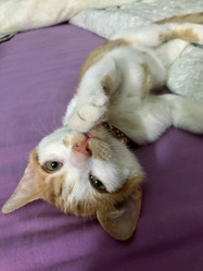 Similar image 21672758