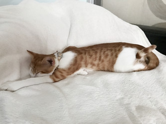 Similar image 21672759