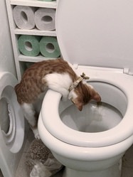 Similar image 21672760