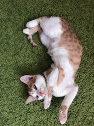 Similar image 21672761