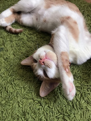 Similar image 21672762