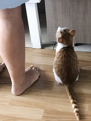 Similar image 21672764