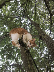 Similar image 21672765