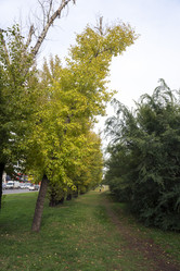 Similar image 21668864