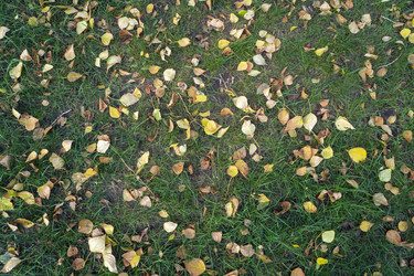 Similar image 21668865