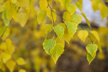 Similar image 21668866