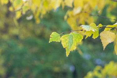 Similar image 21668868