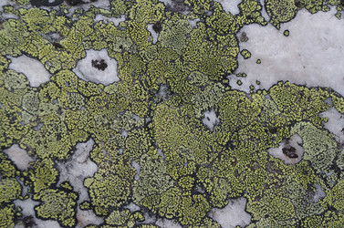 Similar image 21684437