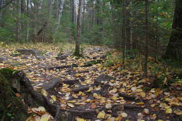 Similar image 21684438