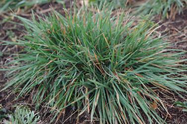 Similar image 21684439