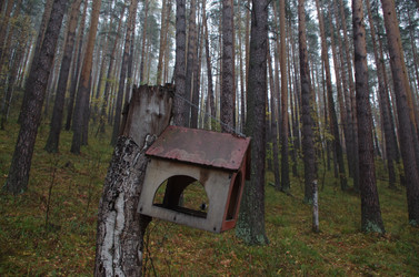 Similar image 21684440