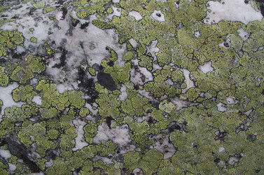 Similar image 21684441