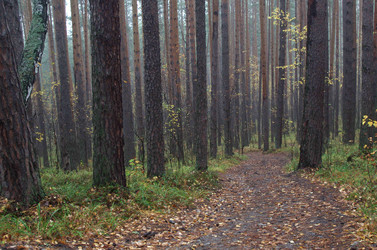 Similar image 21684442