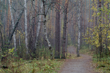 Similar image 21684443