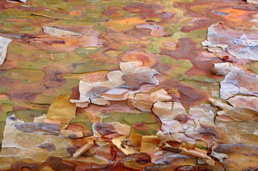 Similar image 21684445