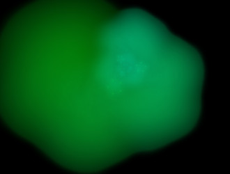 Similar image 21666594