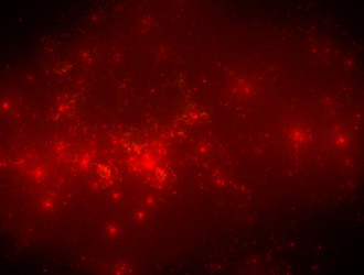 Similar image 21664635