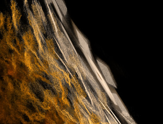 Similar image 21664848