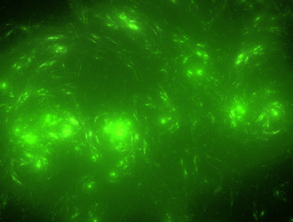 Similar image 21665050