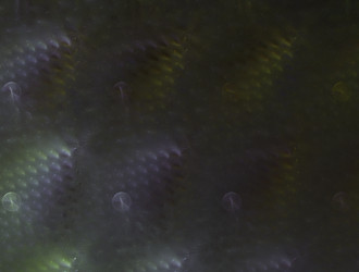 Similar image 21665767