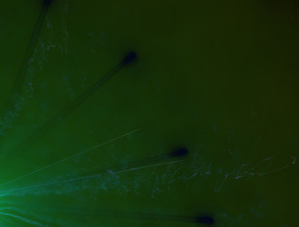 Similar image 21665884