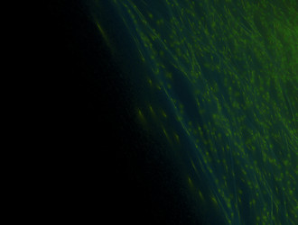 Similar image 21666280