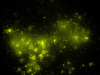 Similar image 21666285