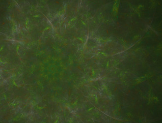 Similar image 21665923