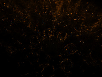 Similar image 21666626