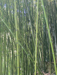 Similar image 21677742