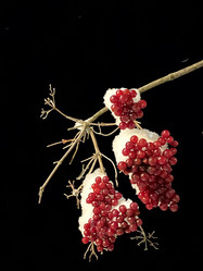 Similar image 21677743