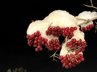 Similar image 21677744